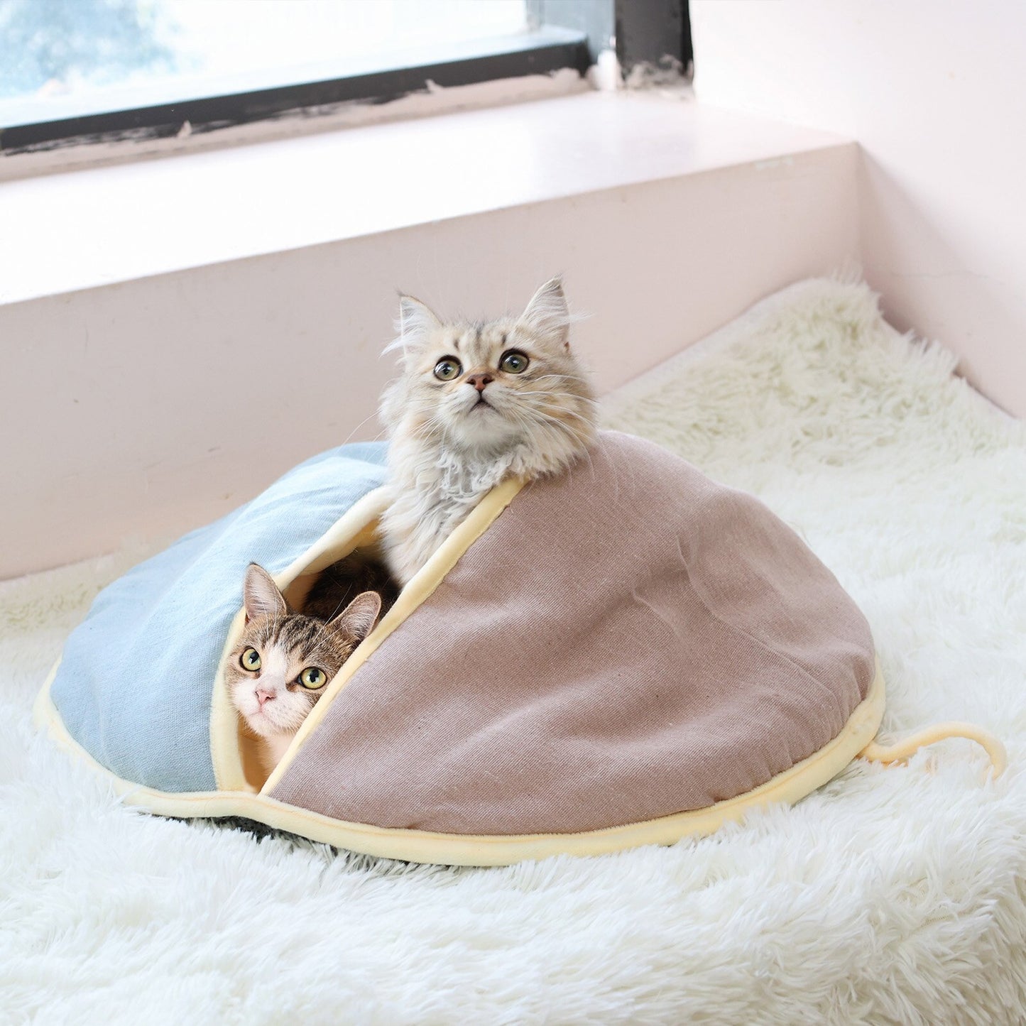 Cat Bed